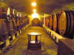 Cave � vins