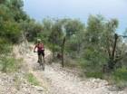 excursions en VTT dans le sentiers blancs 