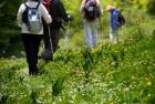 Randonn�es � pied dans la campagne Toscane