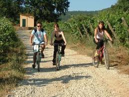 excursions en VTT