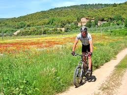 excursions en VTT dans le sentiers blancs